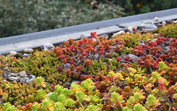 the cost of Capstone green roof installation
